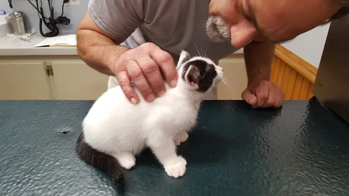 Middleboro Animal Clinic 3
