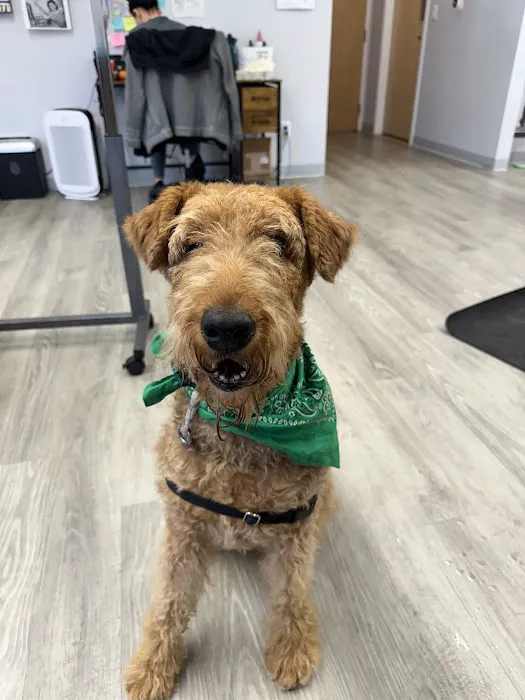 Veterinary Cancer Specialists of New England 3
