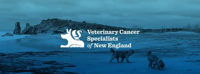 Veterinary Cancer Specialists of New England 8