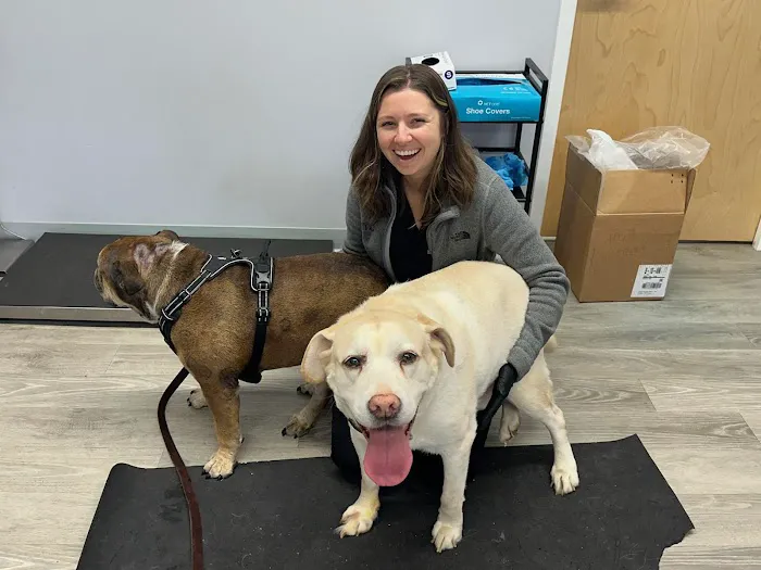 Veterinary Cancer Specialists of New England 4