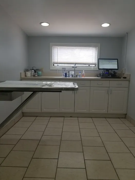Buzzards Bay Veterinary Associates 6
