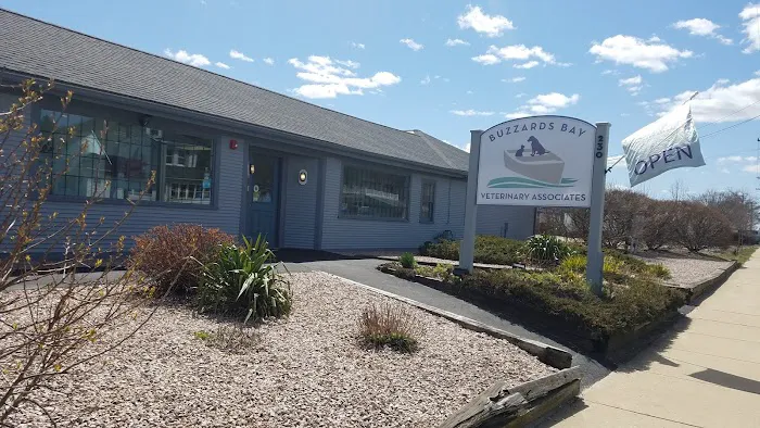 Buzzards Bay Veterinary Associates 10