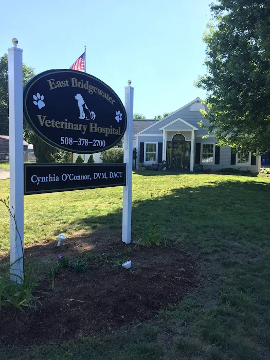 East Bridgewater Veterinary 8