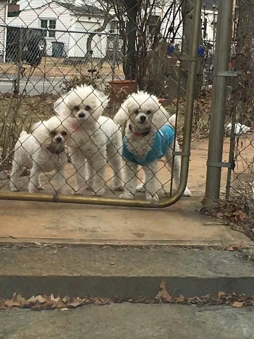 East Bridgewater Veterinary 4