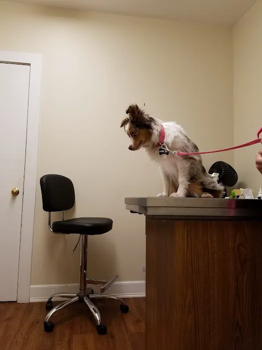 Halifax Veterinary Service 3