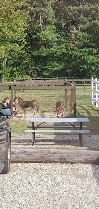 South Shore Equine Clinic & Diagnostic Center 5
