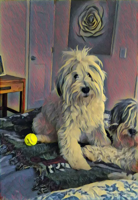 Palmyra Animal Hospital 4