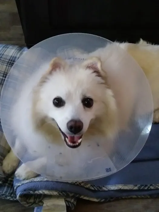 Palmyra Animal Hospital 5