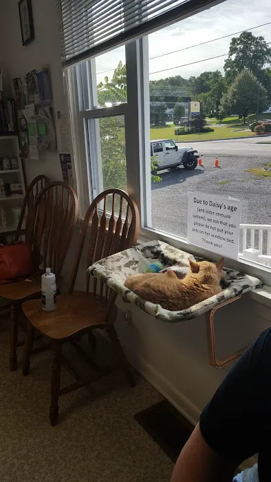 Ameriland Animal Hospital 4