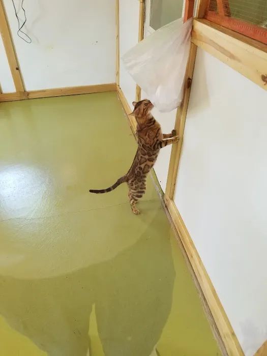 Sodus Veterinary Hospital 2