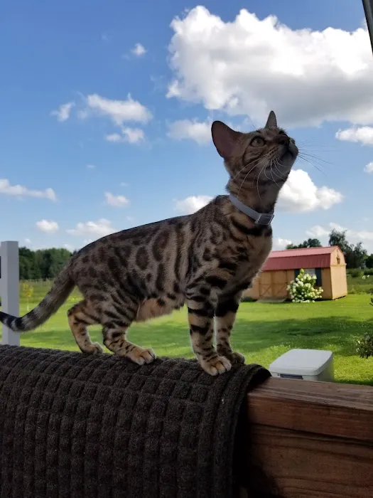 Sodus Veterinary Hospital 5
