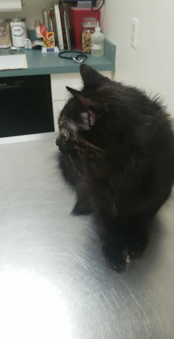Williamson Animal Hospital 7