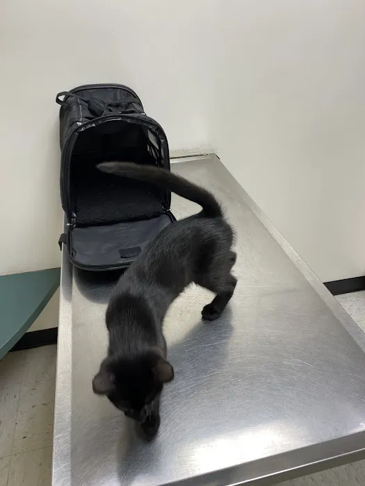 Williamson Animal Hospital 6