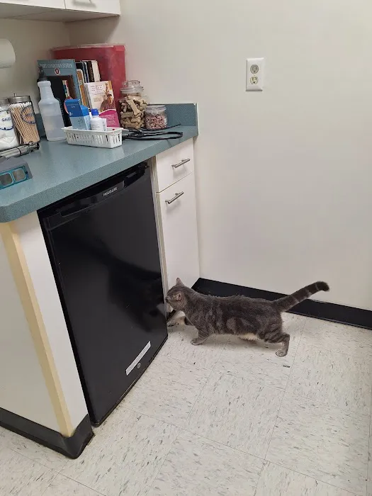 Williamson Animal Hospital 2