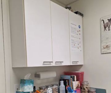 Williamson Animal Hospital