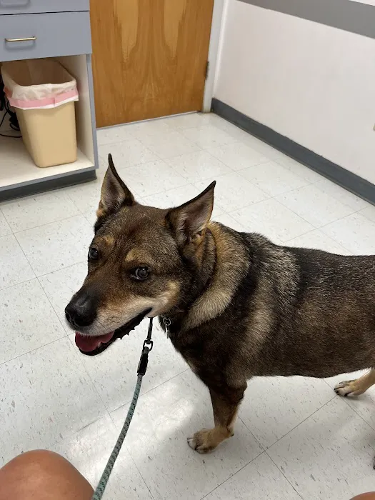 Farmington Veterinary Hospital 4