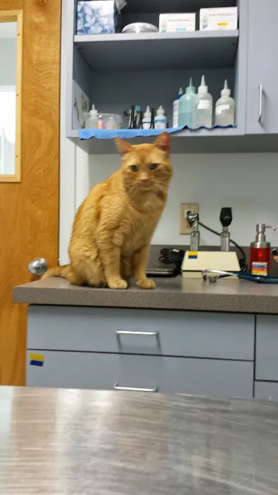 Farmington Veterinary Hospital 6
