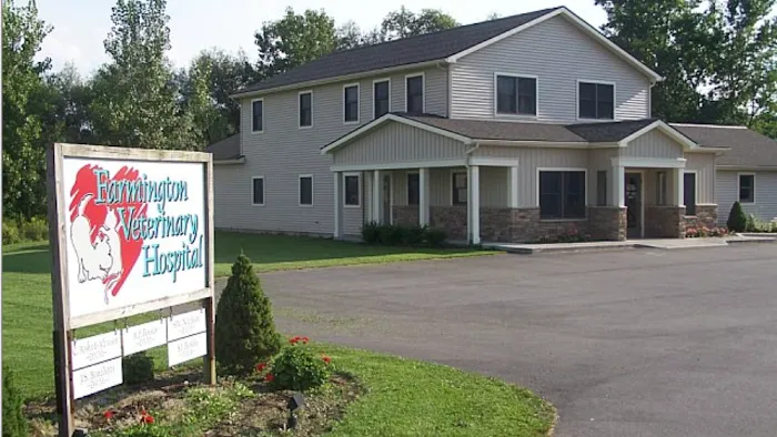 Farmington Veterinary Hospital 10