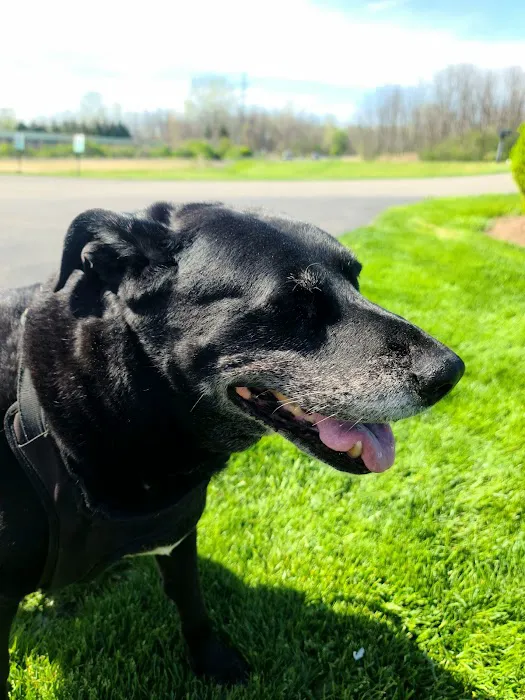Farmington Veterinary Hospital 1