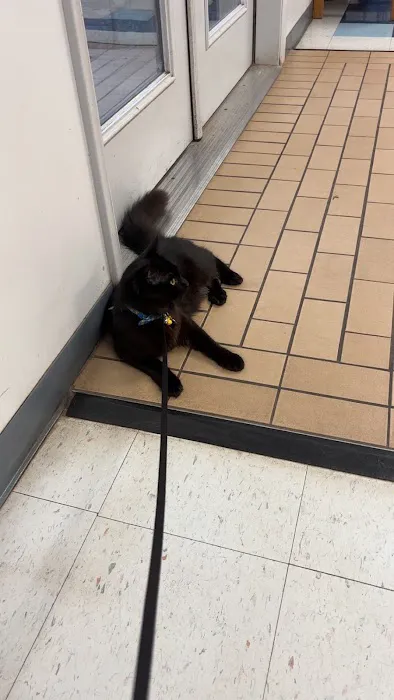 Farmington Veterinary Hospital 2