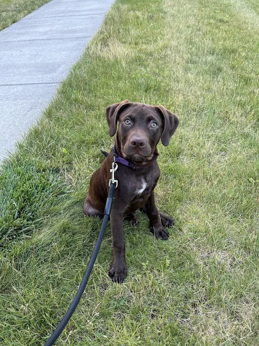 Farmington Veterinary Hospital 9