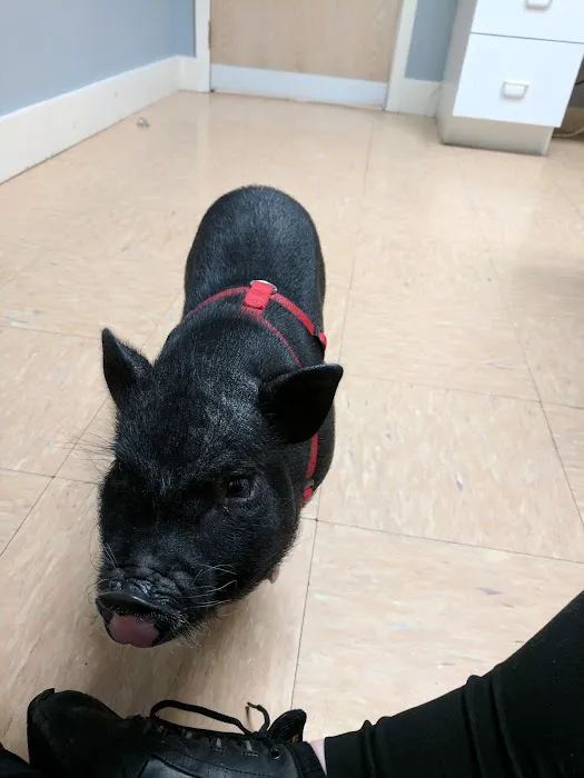 Finger Lakes Animal Hospital 1