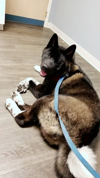 Finger Lakes Animal Hospital 9