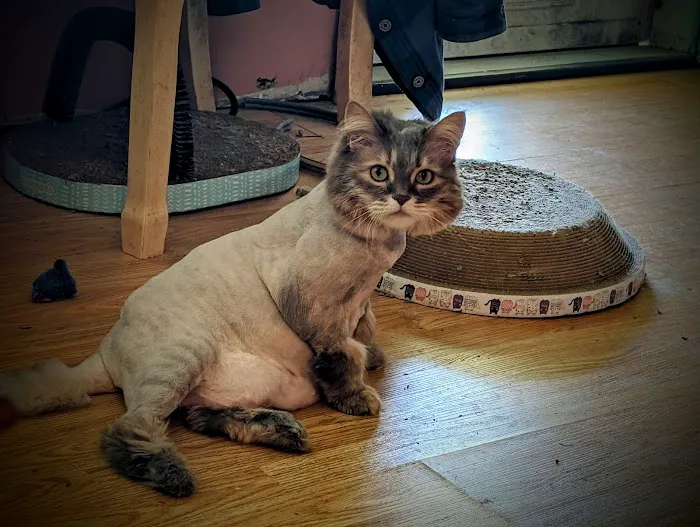 Finger Lakes Animal Hospital 2