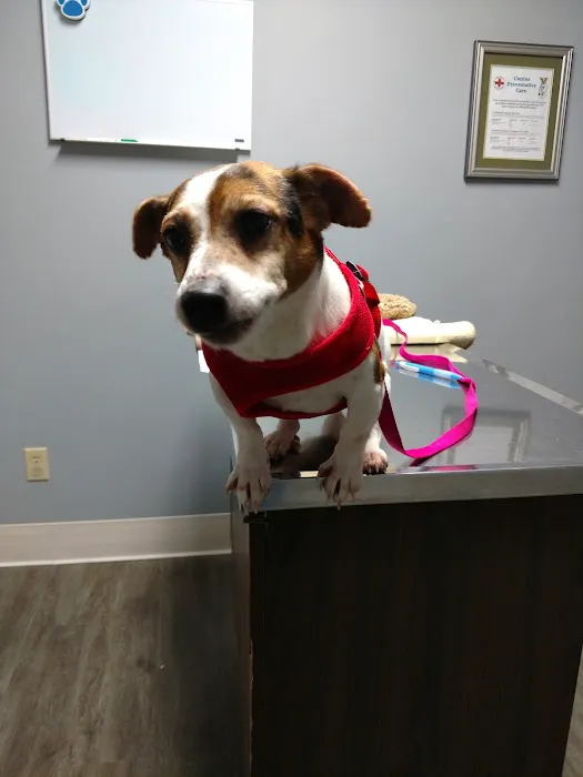 Finger Lakes Animal Hospital 6