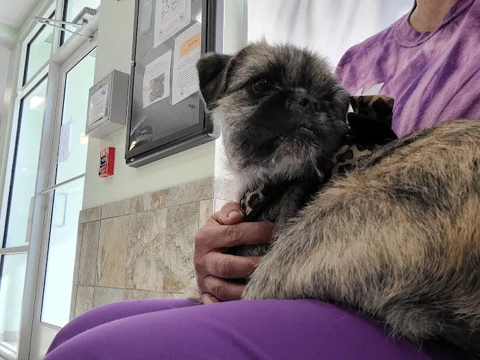 Capeside Animal Hospital 8