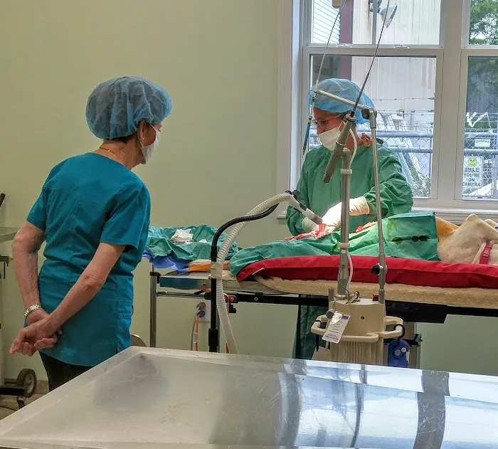 Capeside Animal Hospital 6