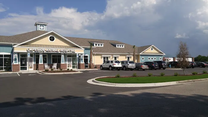 Capeside Animal Hospital 3