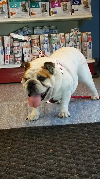 Leland Veterinary Hospital 1