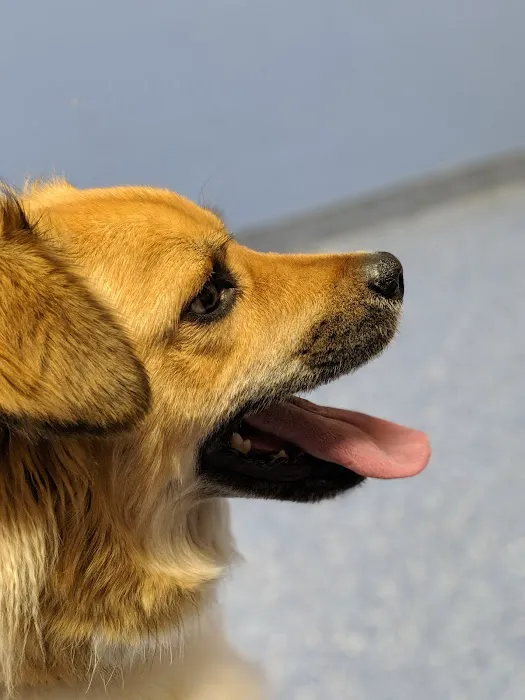 Leland Veterinary Hospital 2