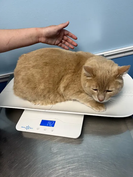 Leland Veterinary Hospital 5