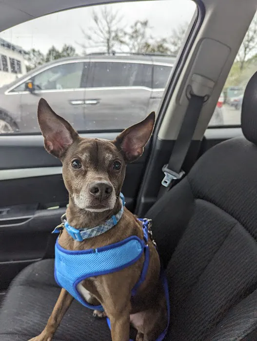 Ocean Isle Veterinary Hospital 9