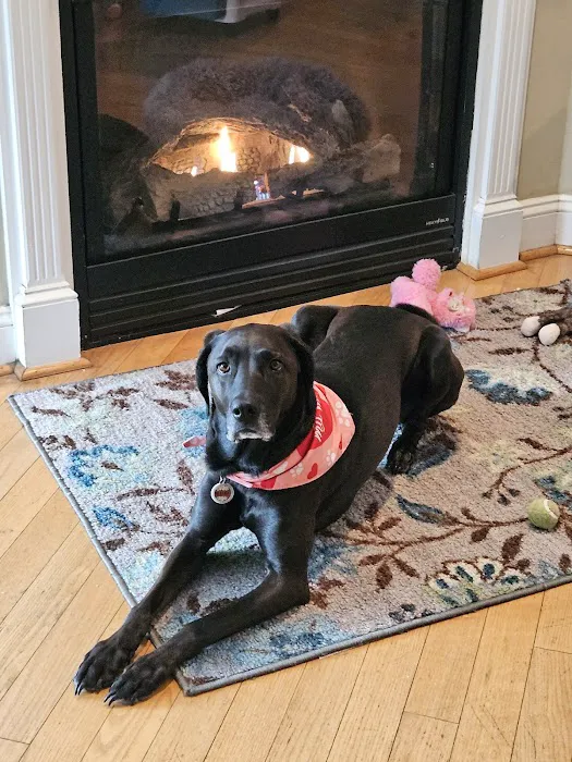 Ocean Isle Veterinary Hospital 3