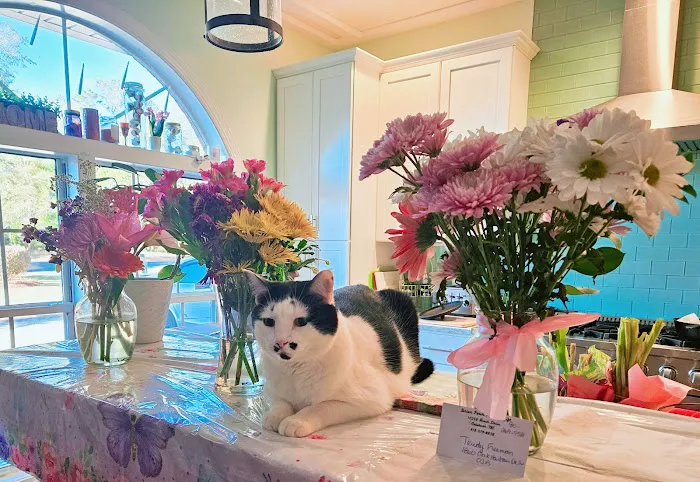 Ocean Isle Veterinary Hospital 5