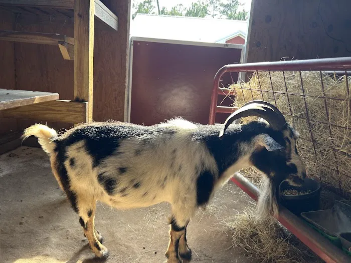 Pineview Veterinary Hospital 8