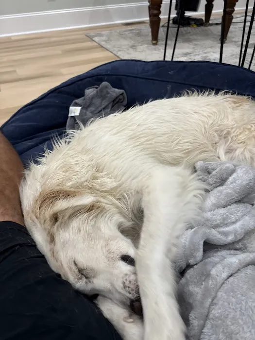 VCA Seaside Animal Hospital 8