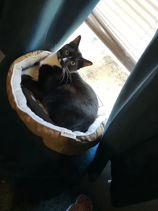 VCA Seaside Animal Hospital 9