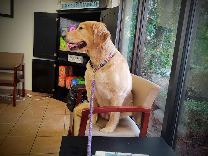 VCA Seaside Animal Hospital 6