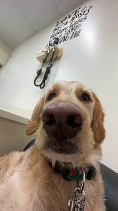 VCA Seaside Animal Hospital 4