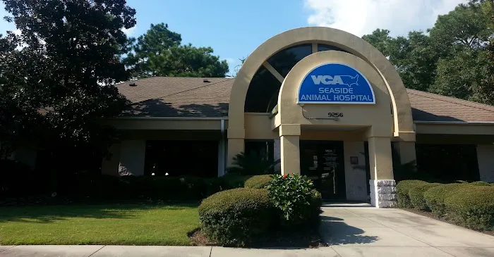 VCA Seaside Animal Hospital 10