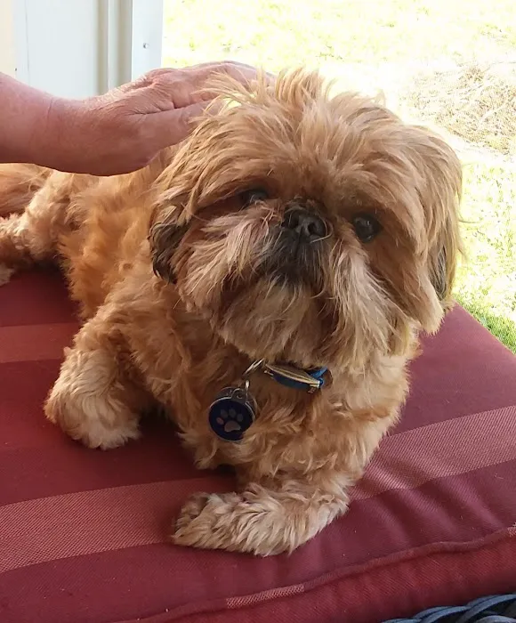 VCA Seaside Animal Hospital 3