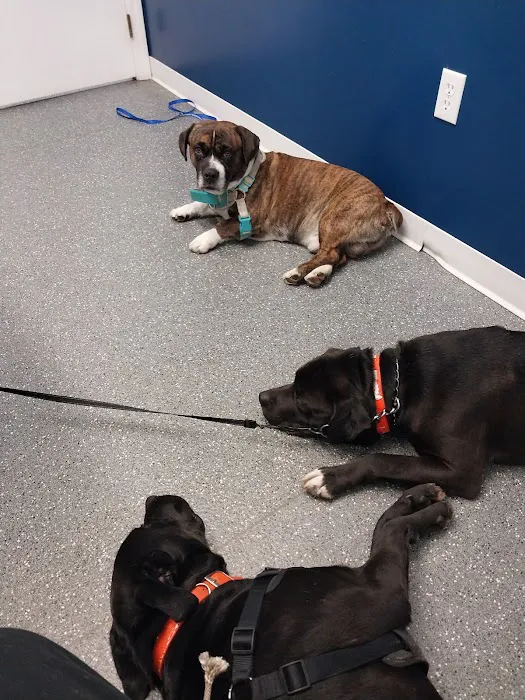 Point Marion Veterinary Care 8