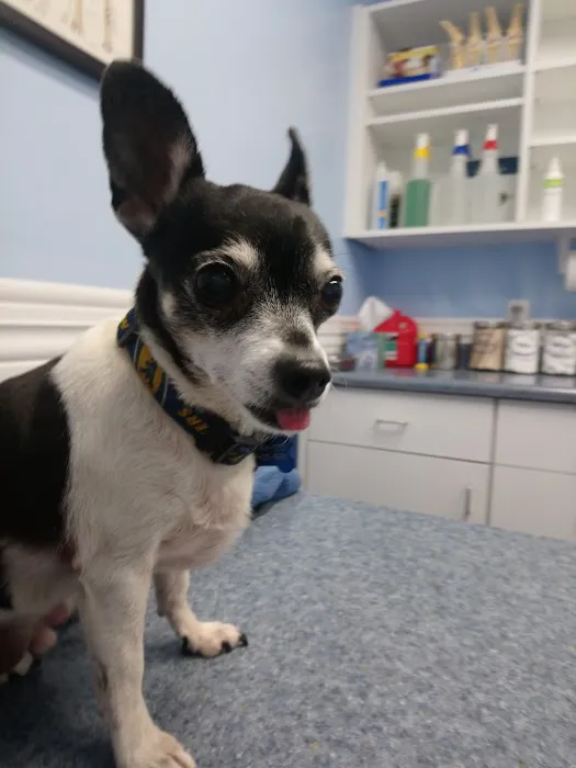 Point Marion Veterinary Care 10