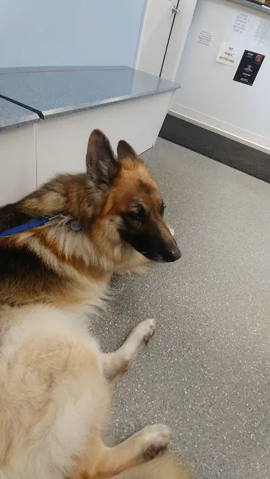 Point Marion Veterinary Care 4