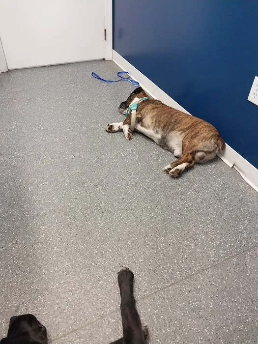 Point Marion Veterinary Care 5