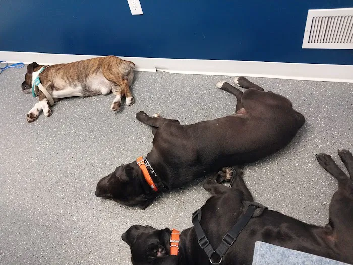 Point Marion Veterinary Care 3